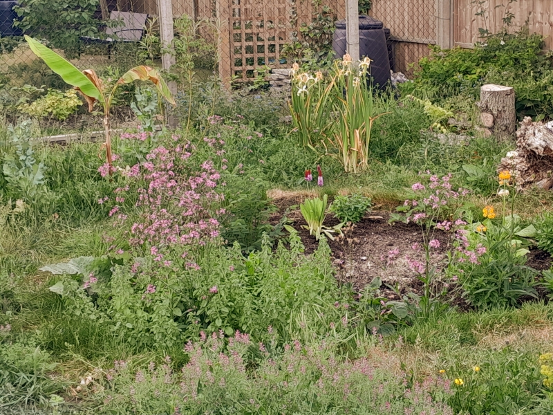 Spring View